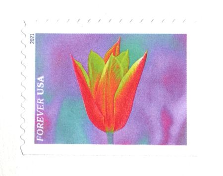100 Tulip Forever Stamps Unused Neon Orange Lavender Tulips Postage Spring Jewel Tone Flower Garden Stamps for Mailing